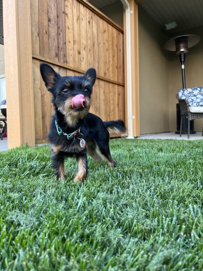 Taylor  Wilson's room