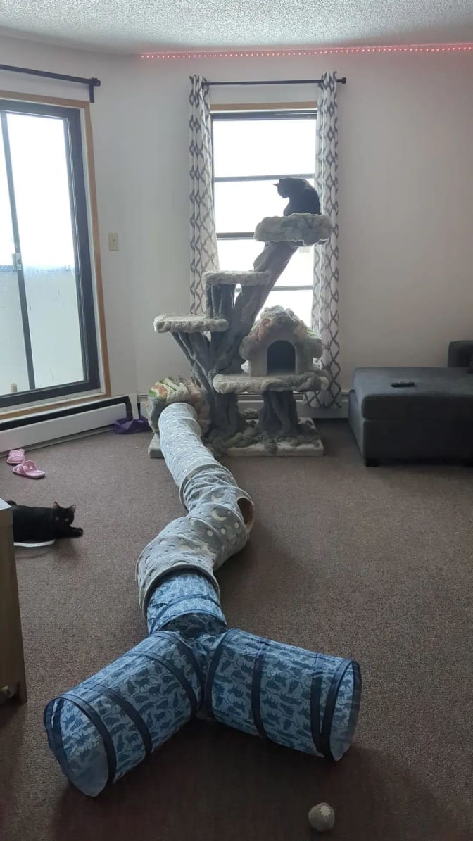 Photo of Sophie Moon's room