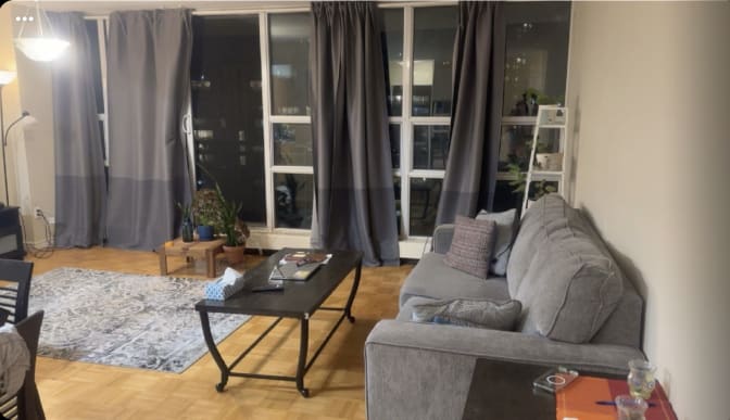 marjan shaker's room