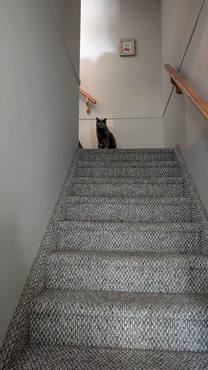 Photo of Mercedes's room