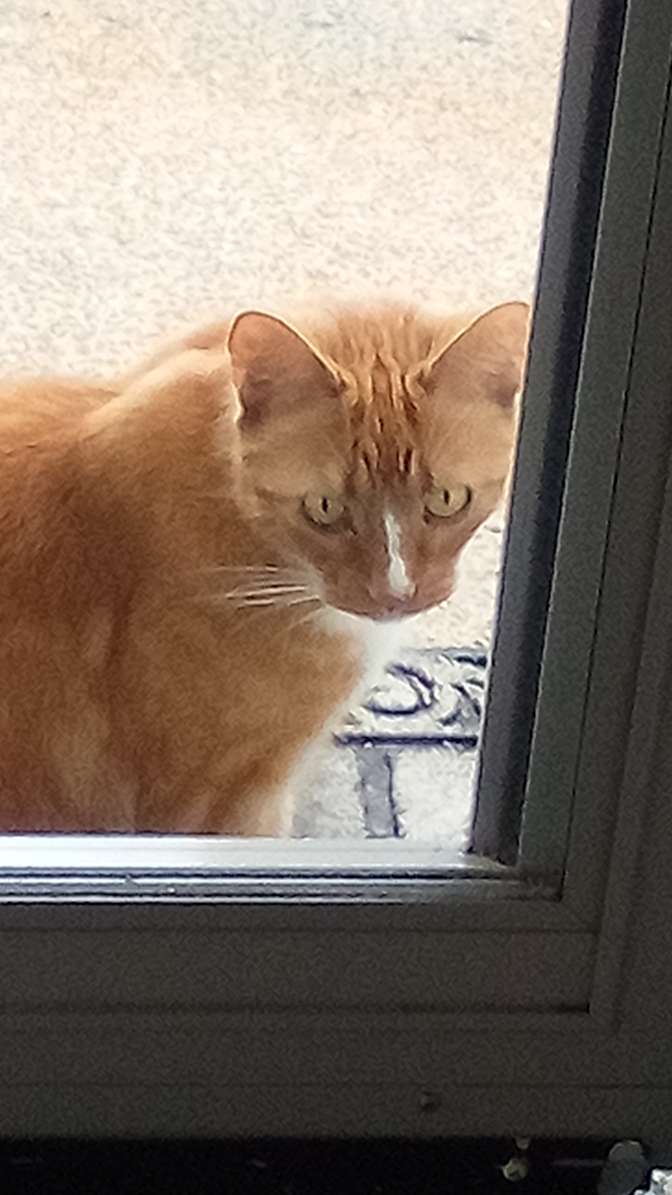 Photo of Barbara's room