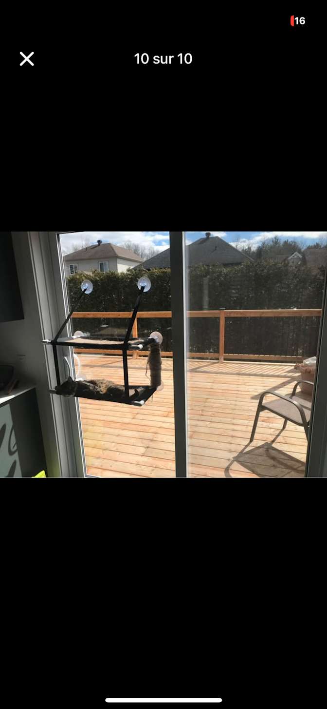 Clement Behoteguy's room