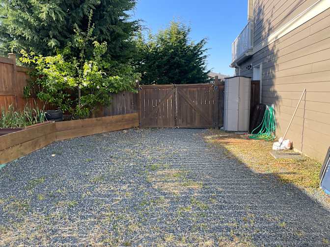 Judi Richards's room