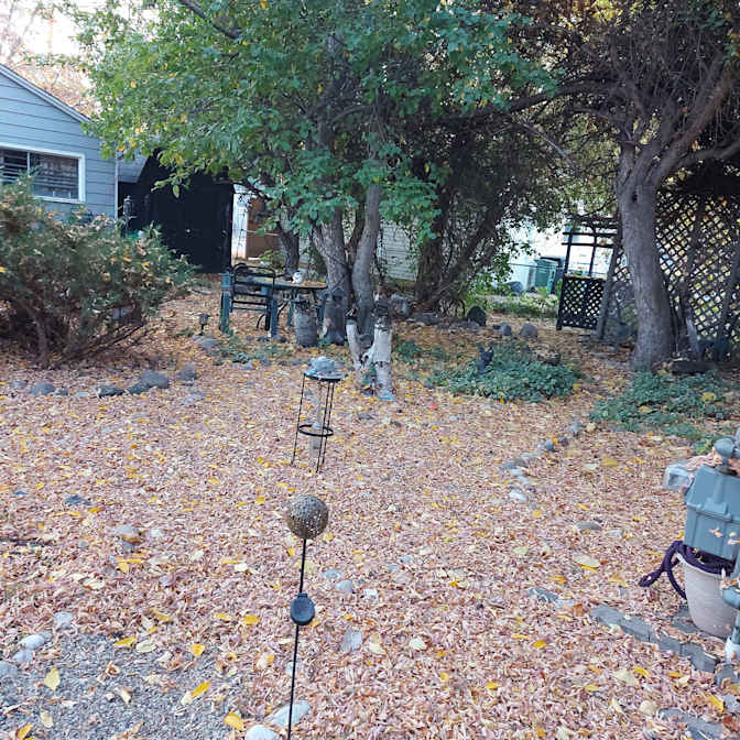 Ryschell Dragunov's room