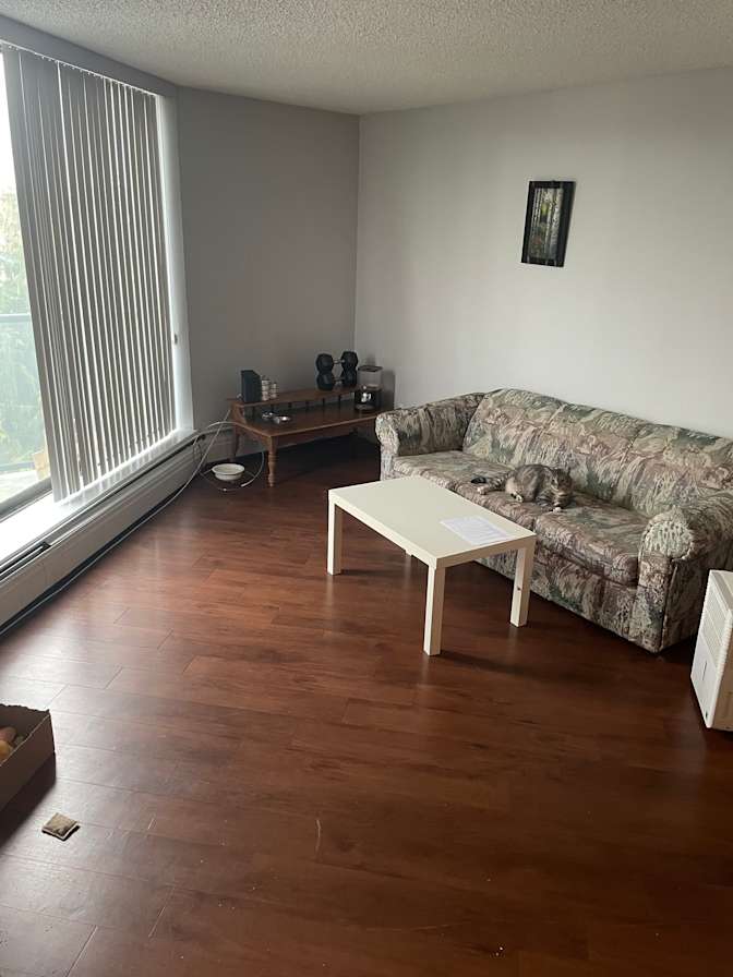 Photo of Brock's room