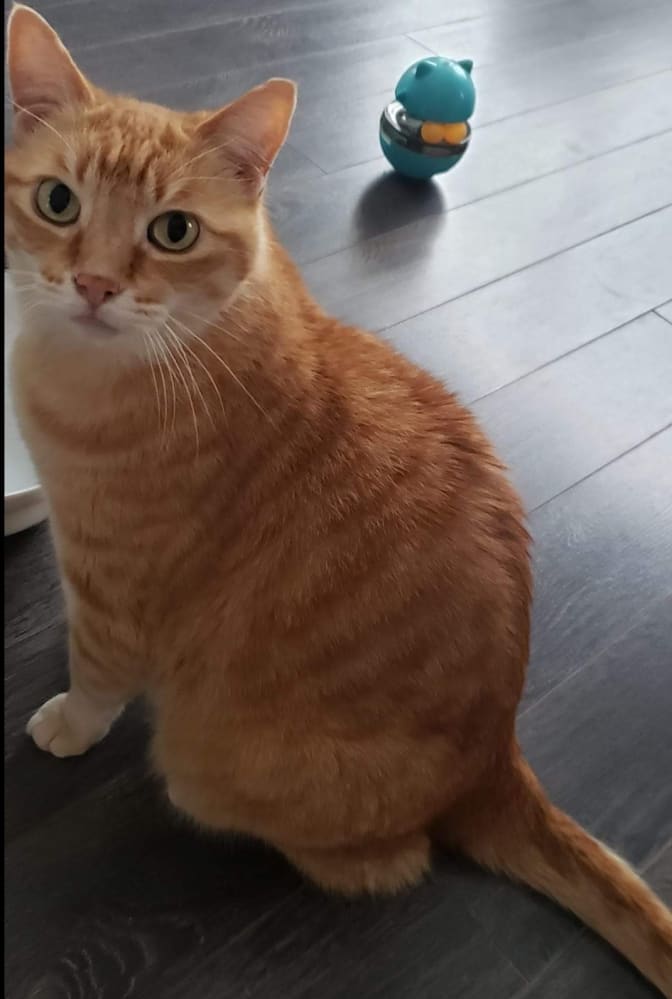 Photo of Yuna's room