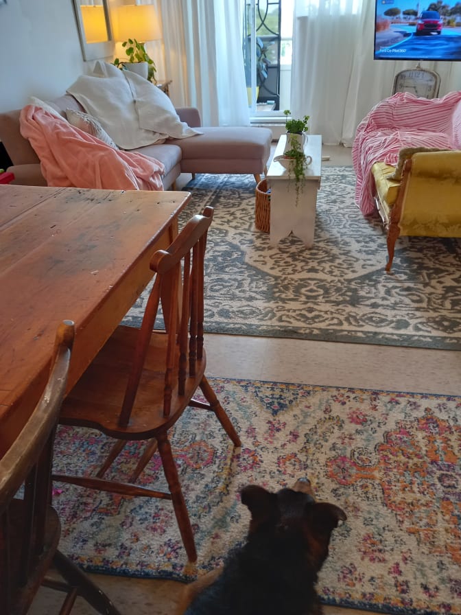 Cynthia Harris's room