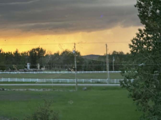 Sarah McMillen's room