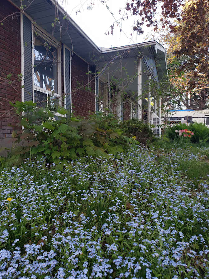 Stephen Smith's room