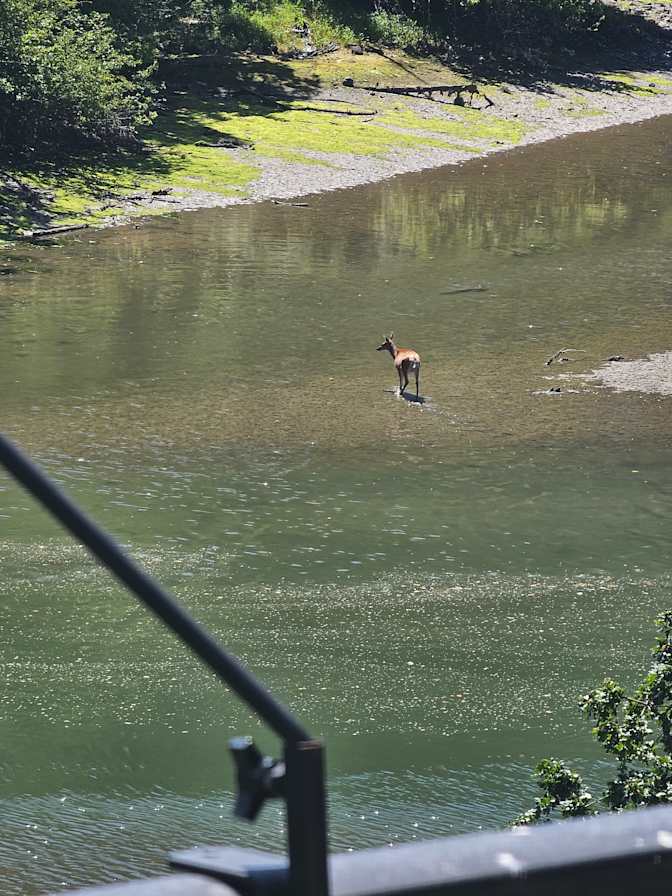 Photo of David's room