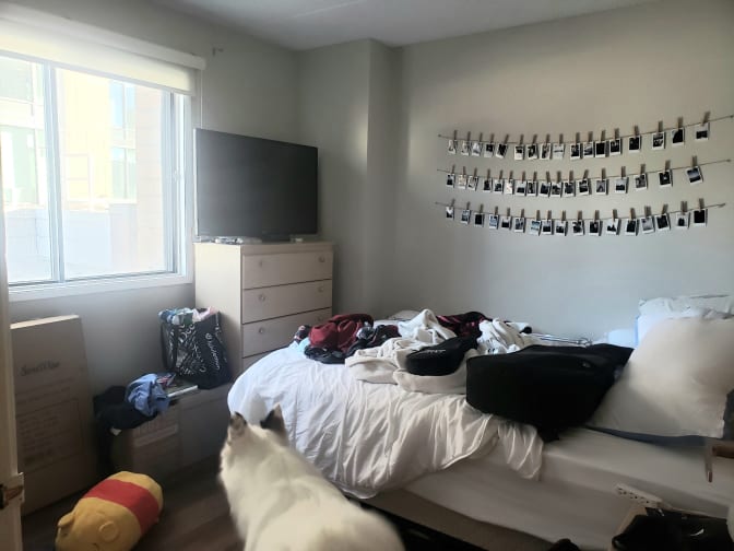 Photo of Lyn's room