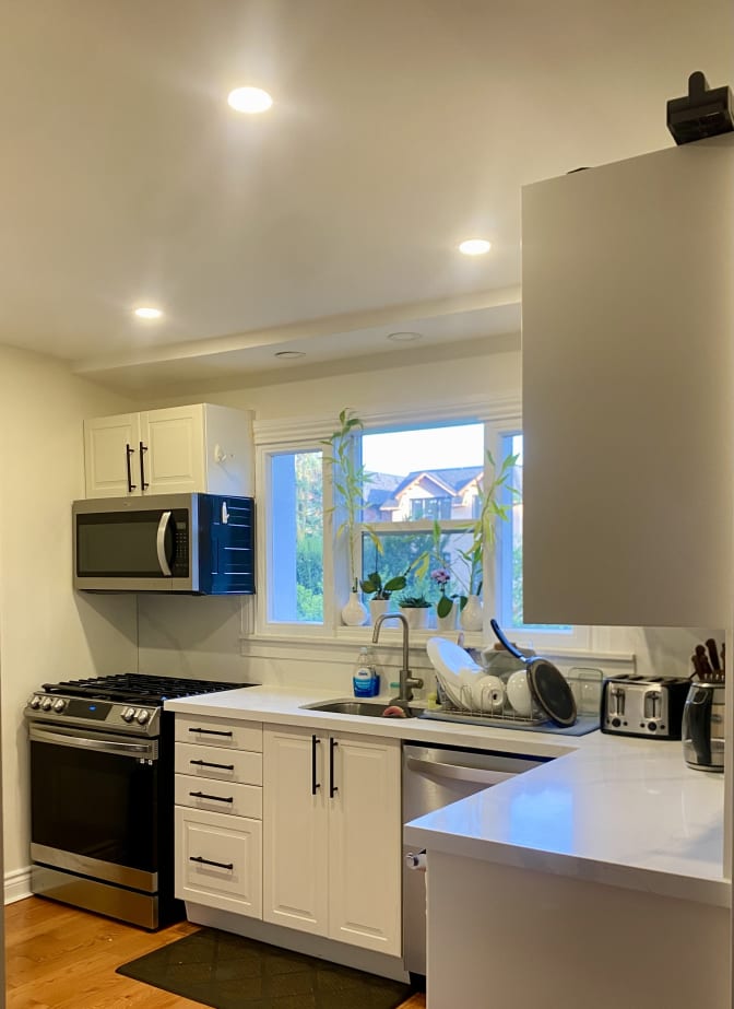 Rojina Bagheri's room