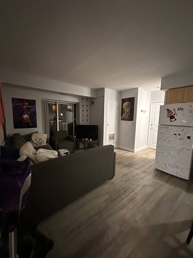 Photo of Judy's room