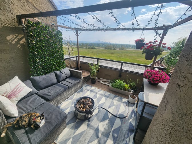 Lauren Vanderveen's room