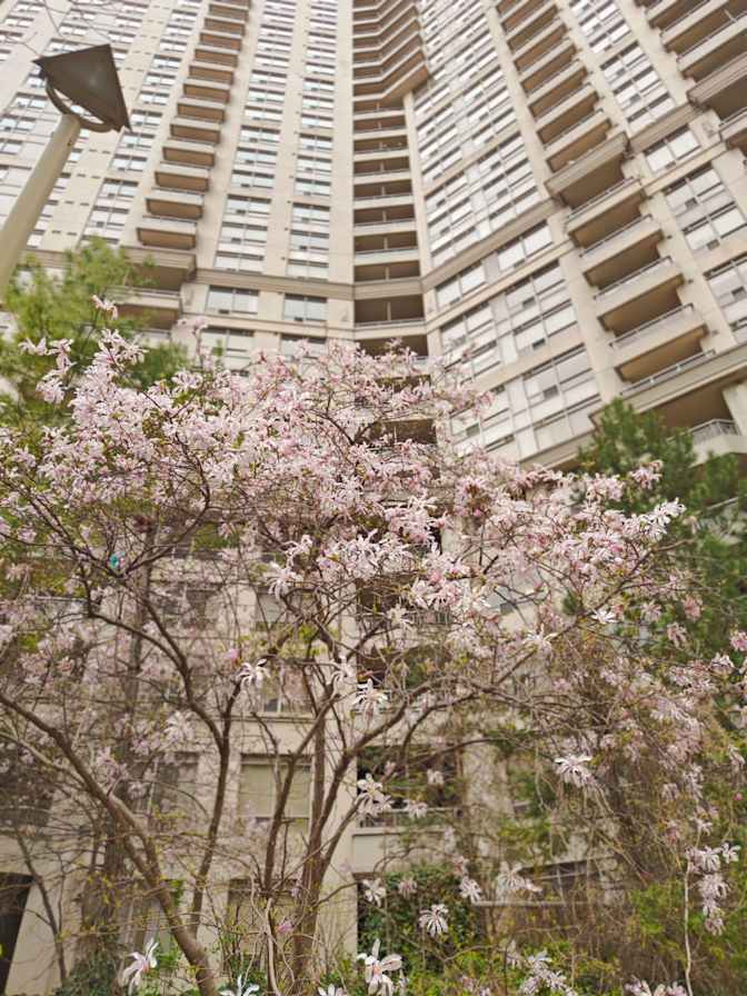 Photo of Anup's room