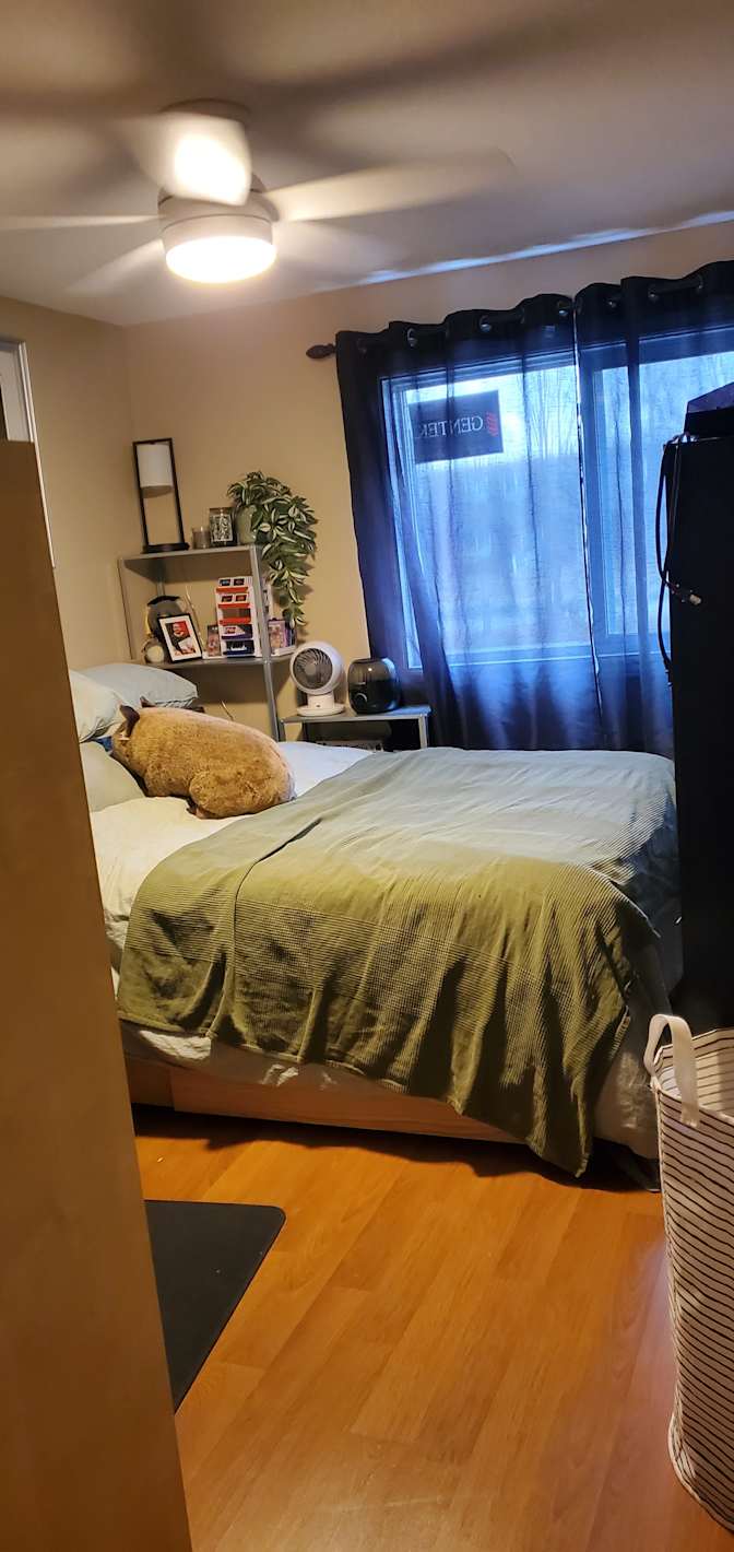 Photo of P & X's room
