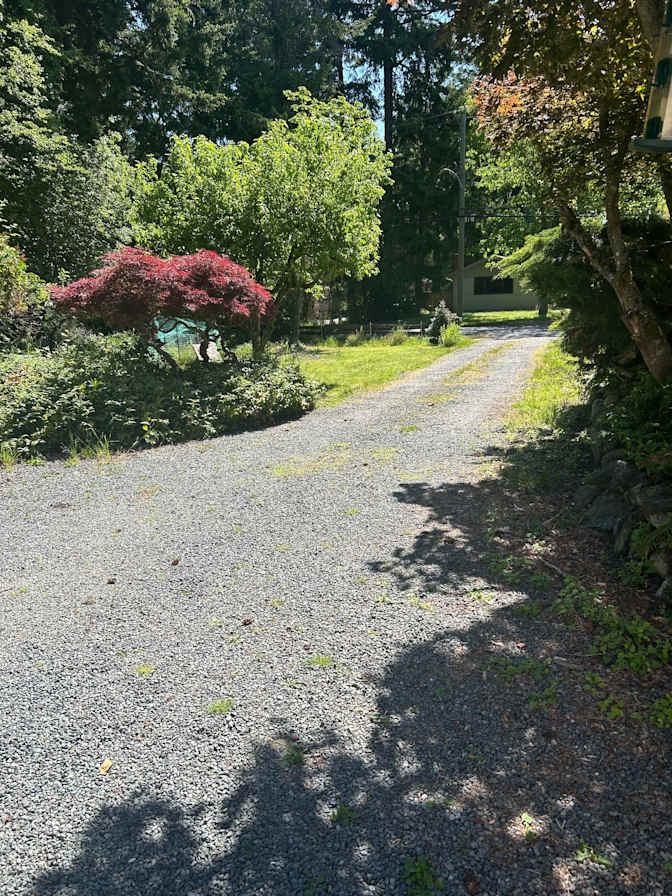 Tekala MacSweyn's room