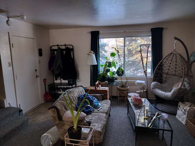 Zachary Davey's room