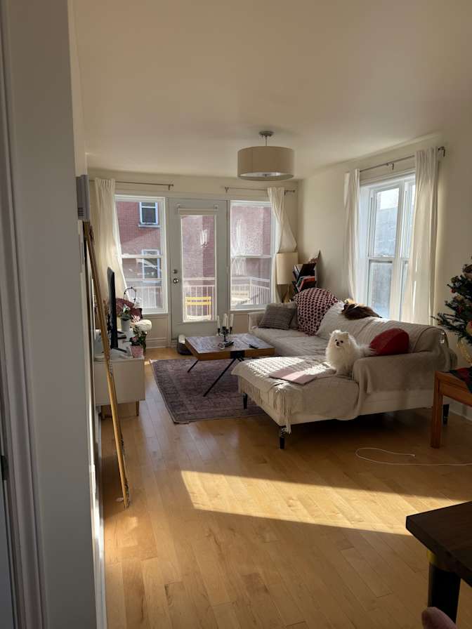 Photo of Nihel's room
