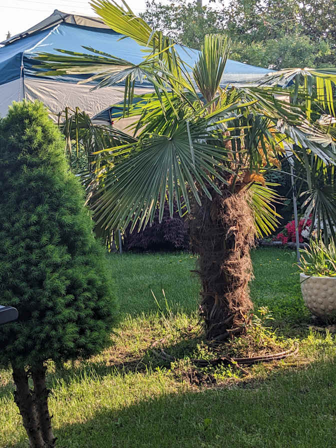 Photo of Rachel's room