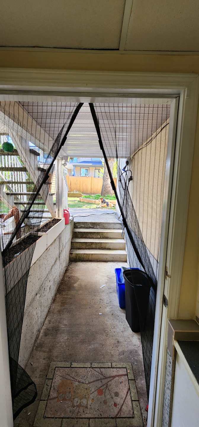 Lyen Mortensen's room