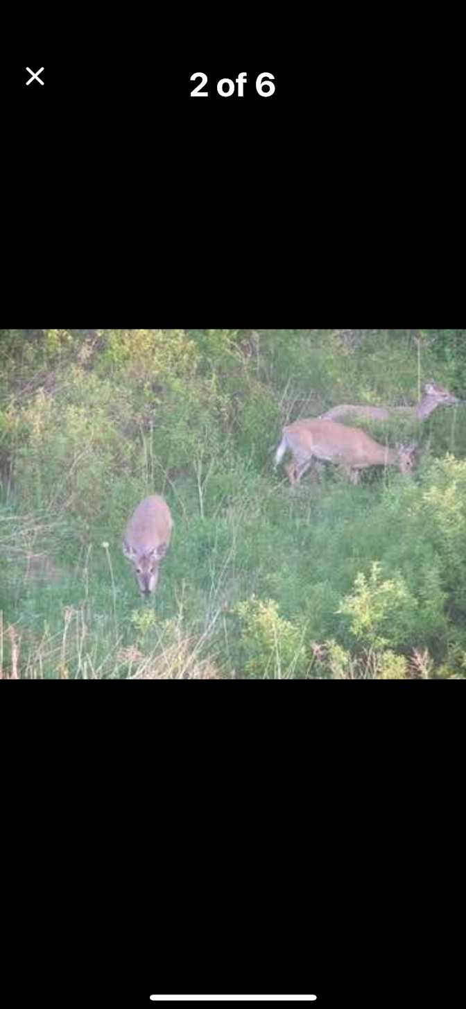 Photo of Marisela loncaric's room