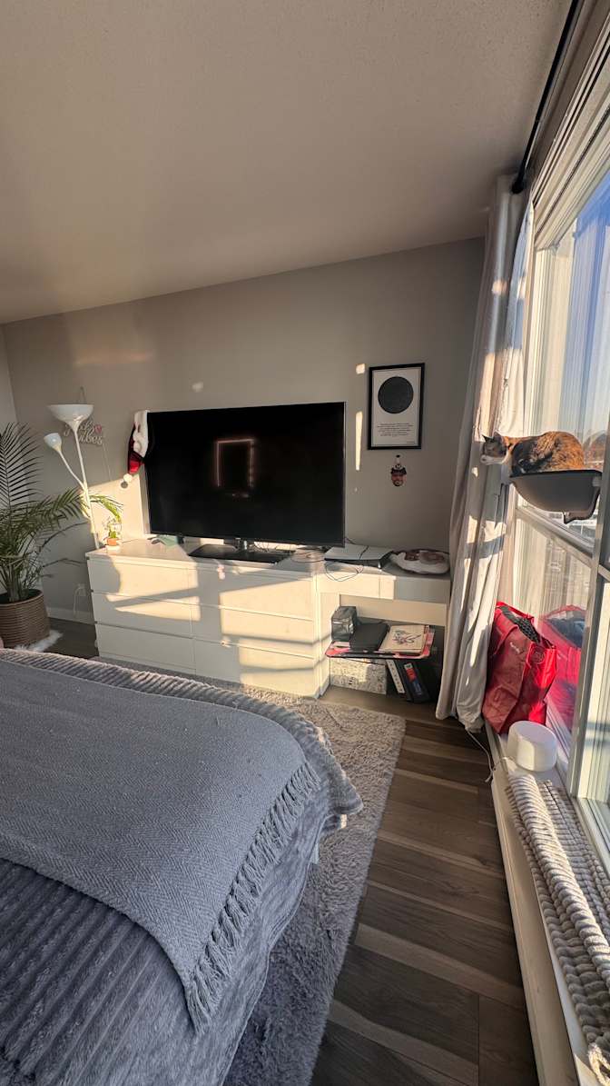 Nicolle Pereira's room