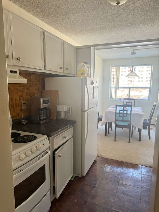 Sepideh Damercheli's room