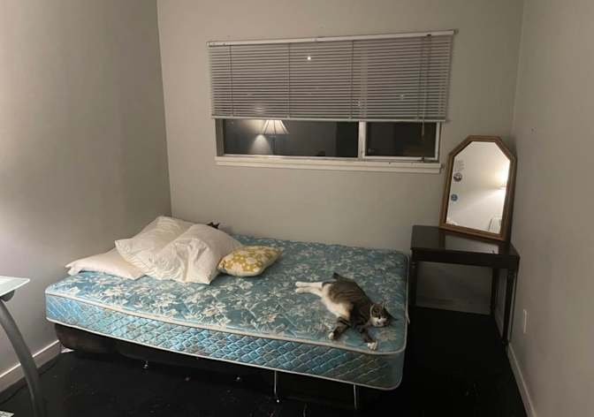 Photo of Colette's room