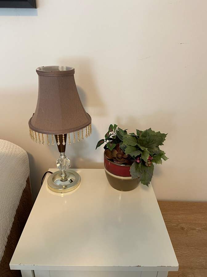 Photo of Annani's room