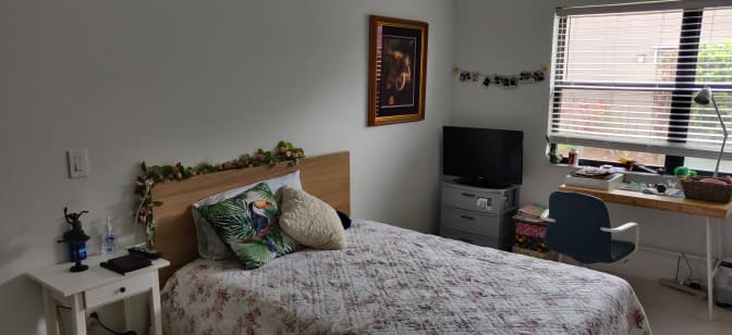 Photo of Lisa's room
