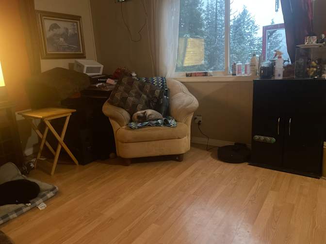 Photo of Raquel's room
