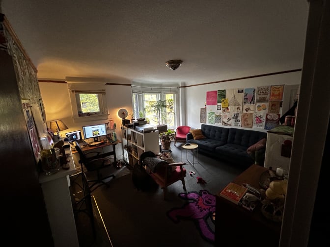 Stewart Innes's room