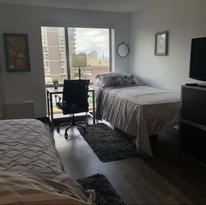 Daniel Ferreira's room