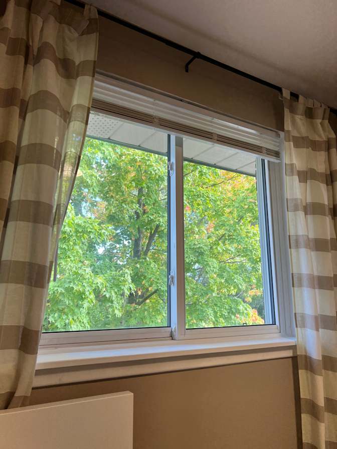 Photo of Dasha's room