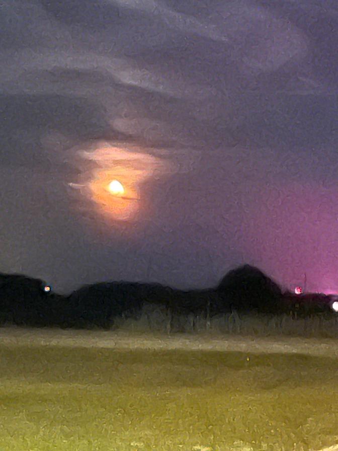 Lynne meloche's room