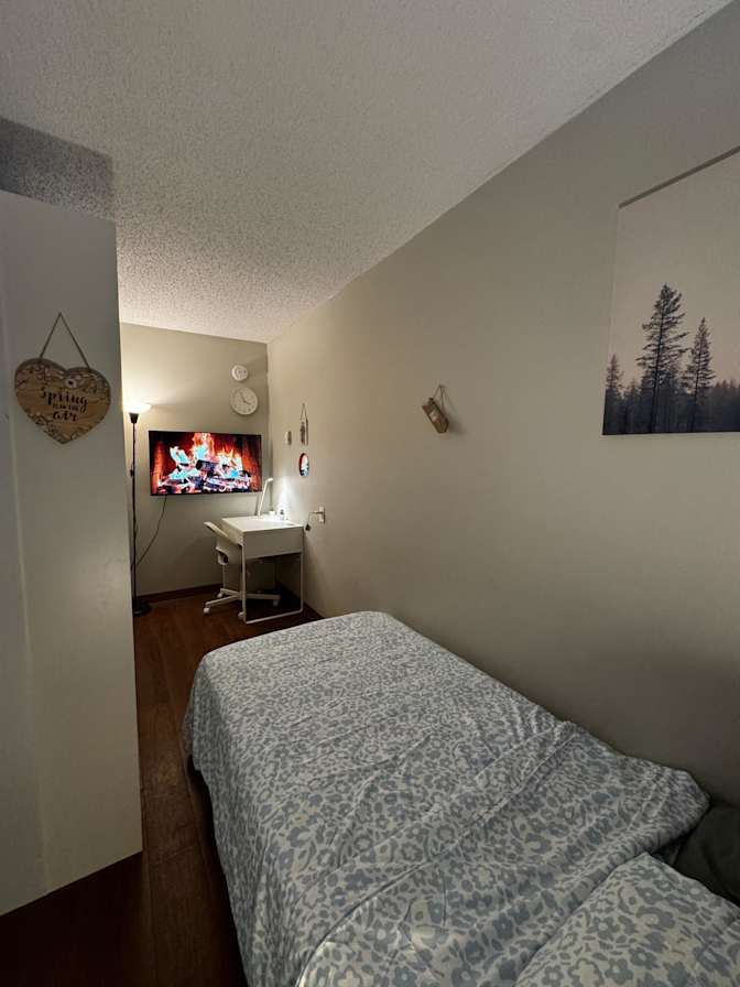 Photo of Semih's room