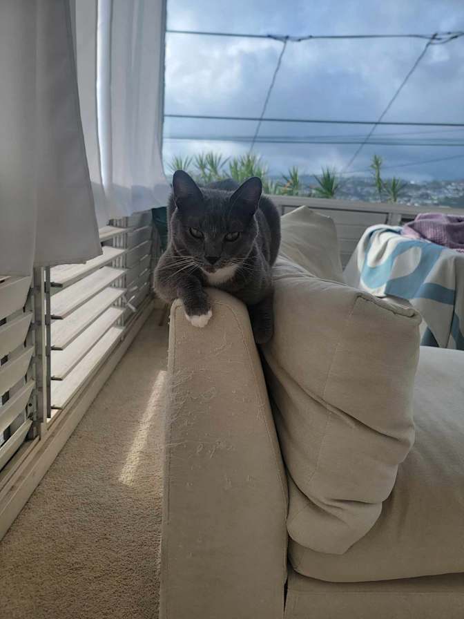 Photo of Destiny's room