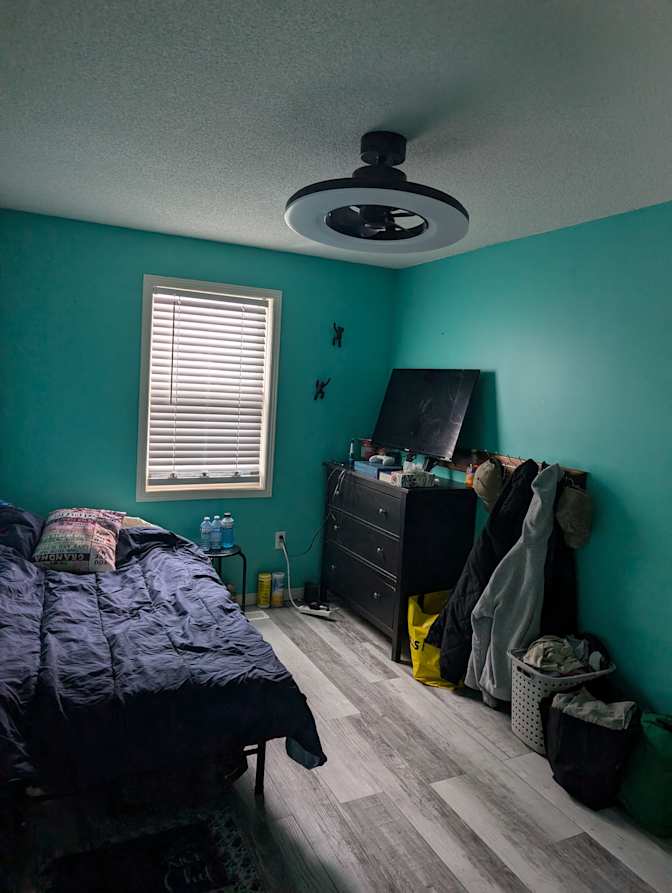 jason mccorriston's room
