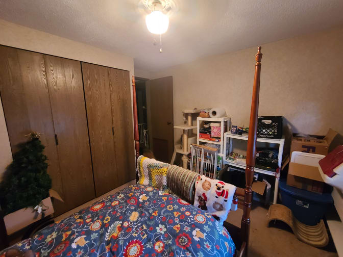 Photo of Eliza's room