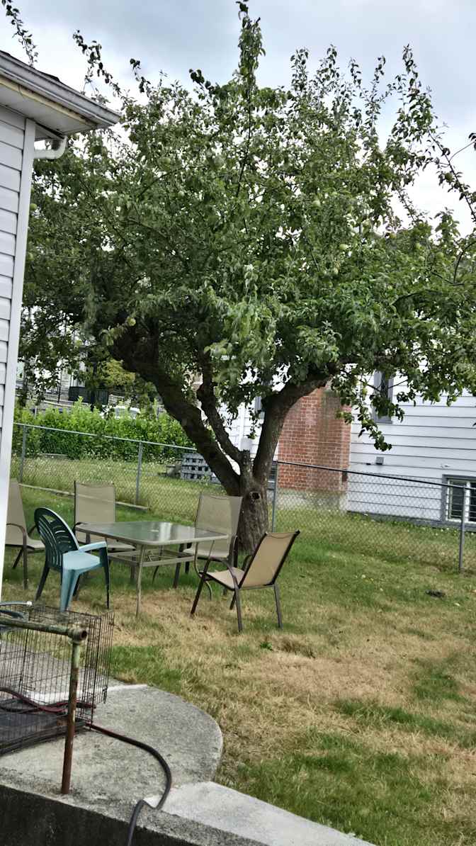 Photo of Brad's room