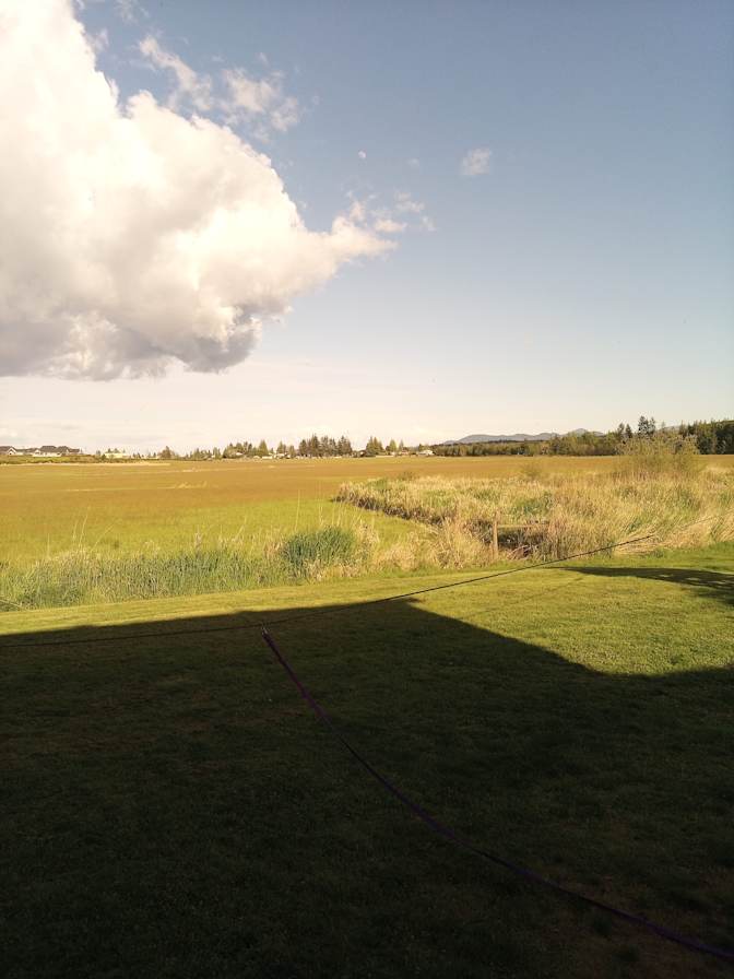 Wendee Anderson's room