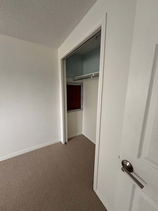 Photo of avaia's room