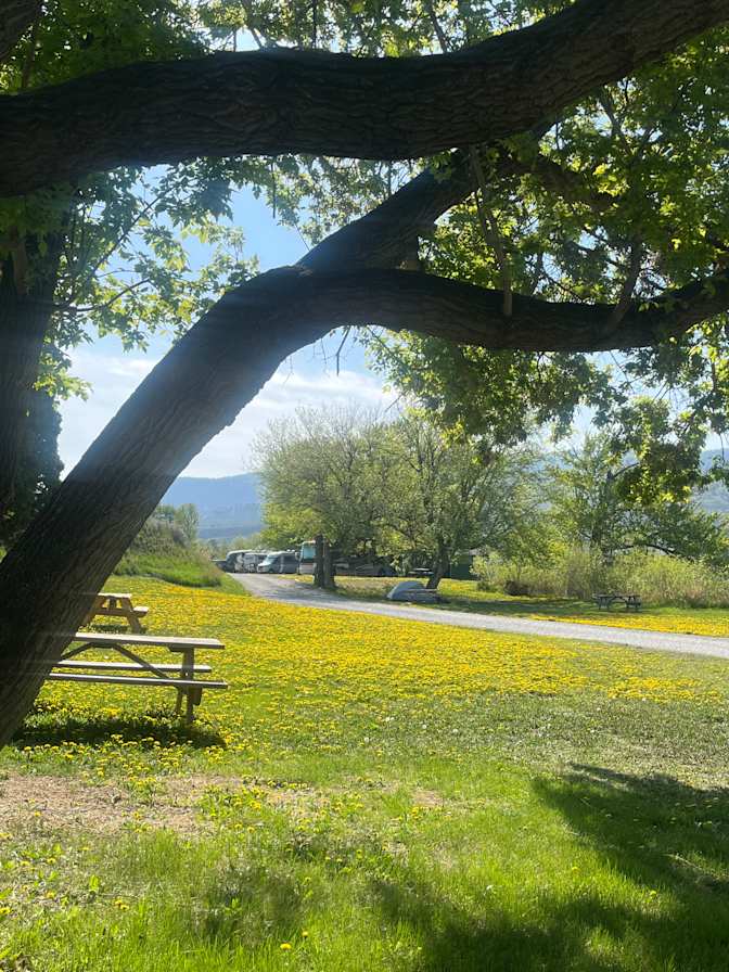 Photo of Sherri's room