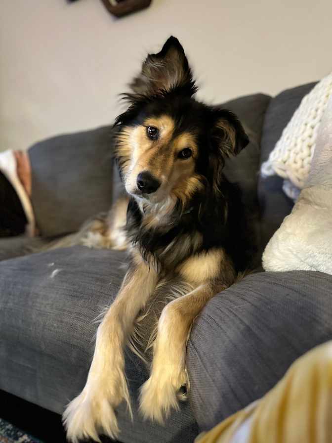 Photo of Megan's room