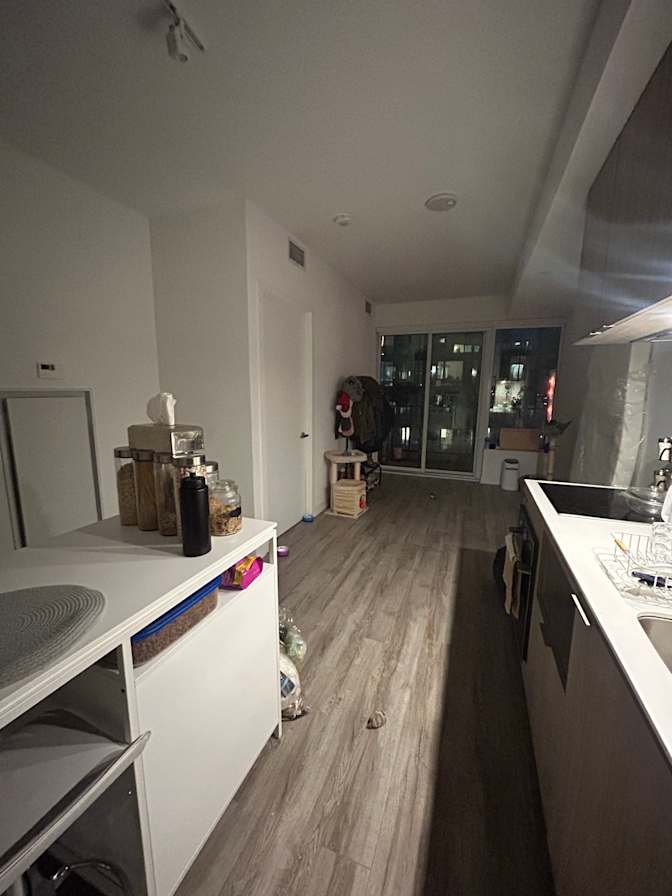 Escemei Wyatt's room