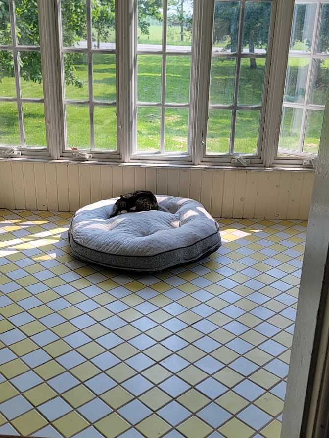 Amber Mowbray's room