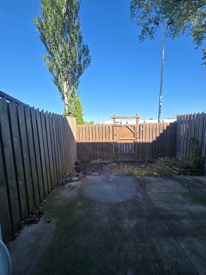 Photo of Mladen Lazic's room