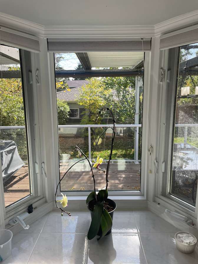 Greg Driedger's room