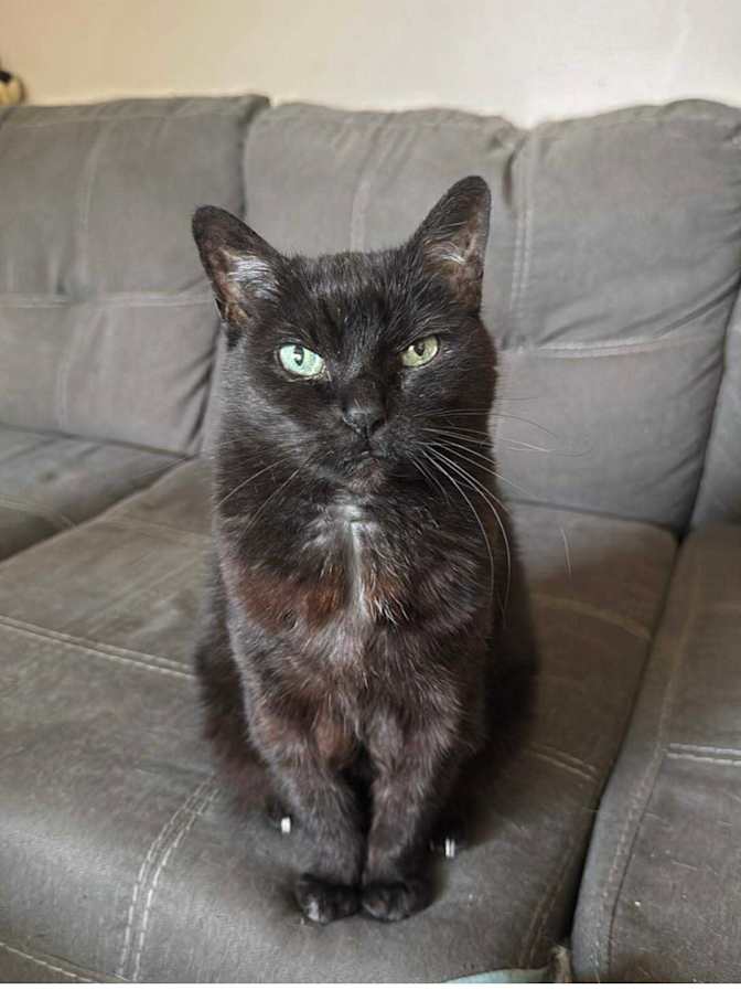 Photo of Leanne's room